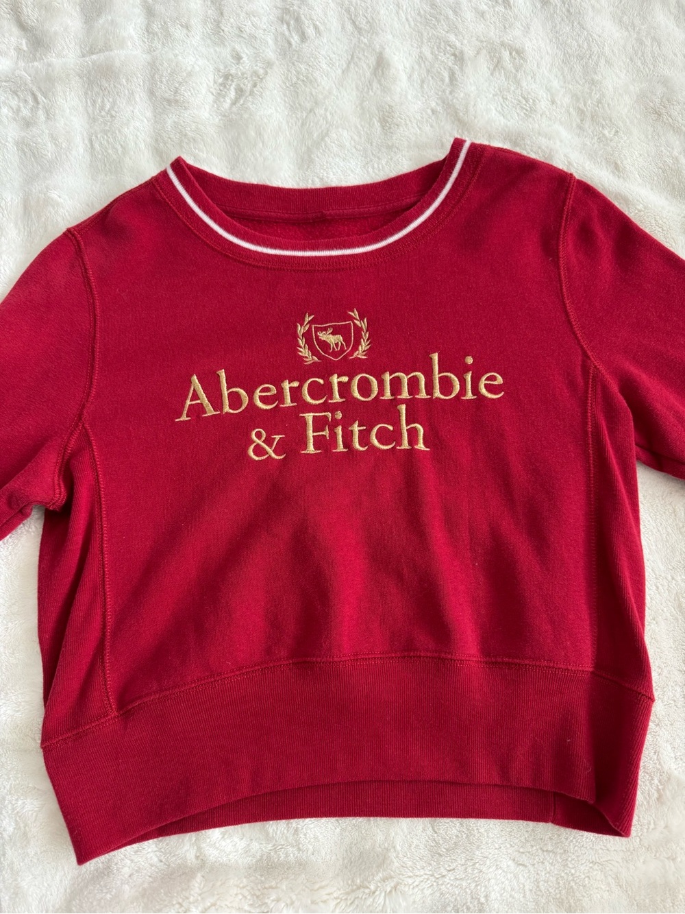 Abercrombie & Fitch Kids Red Sweatshirt with Gold Logo